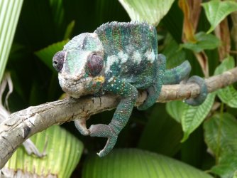 PANA3599 (Custom).JPG PANA3599 (Custom).JPG