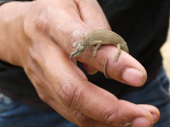 PANA3651 (Custom).JPG PANA3651 (Custom).JPG