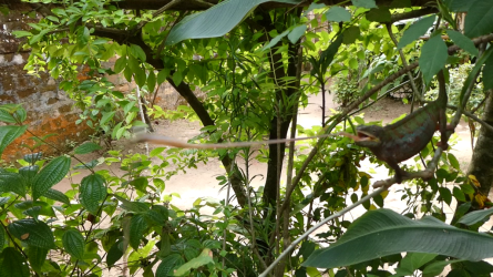 vlcsnap-2024-07-04-17h11m27s941 (Custom).png vlcsnap-2024-07-04-17h11m27s941 (Custom).png