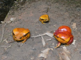 PANA3604 (Custom).JPG PANA3604 (Custom).JPG