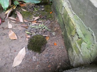 PANA3607 (Custom).JPG PANA3607 (Custom).JPG