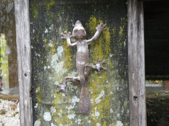 PANA3622 (Custom).JPG PANA3622 (Custom).JPG