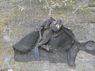 PANA3624 (Custom).JPG PANA3624 (Custom).JPG