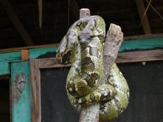 PANA3613 (Custom).JPG PANA3613 (Custom).JPG