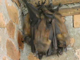 PANA3616 (Custom).JPG PANA3616 (Custom).JPG