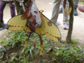 PANA3638 (Custom).JPG PANA3638 (Custom).JPG