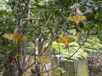 PANA3642 (Custom).JPG PANA3642 (Custom).JPG