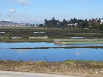 PANA3499 (Custom).JPG PANA3499 (Custom).JPG