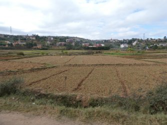 PANA3503 (Custom).JPG PANA3503 (Custom).JPG