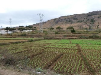 PANA3507 (Custom).JPG PANA3507 (Custom).JPG