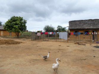 PANA3657 (Custom).JPG PANA3657 (Custom).JPG