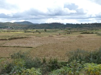 PANA3924 (Custom).JPG PANA3924 (Custom).JPG