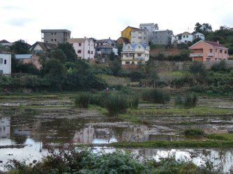 PANA3943 (Custom).JPG PANA3943 (Custom).JPG