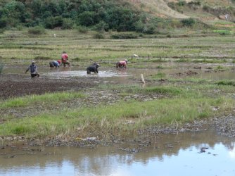 PANA3955 (Custom).JPG PANA3955 (Custom).JPG