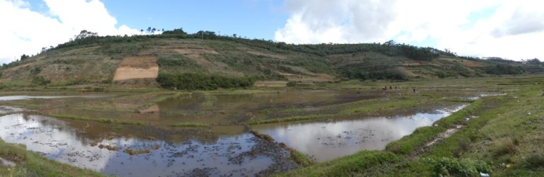 PANA3957 (Custom).JPG PANA3957 (Custom).JPG