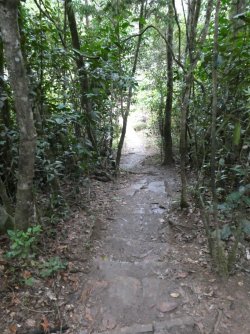 PANA3692 (Custom).JPG PANA3692 (Custom).JPG