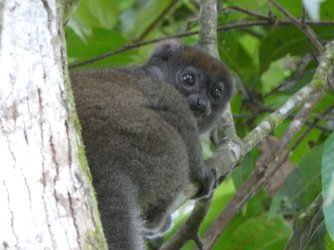 PANA3690 (Custom).JPG PANA3690 (Custom).JPG