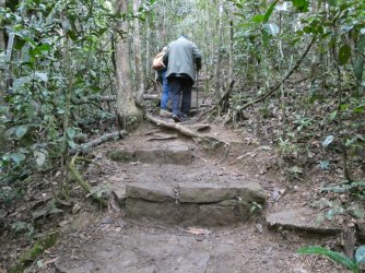 PANA3694 (Custom).JPG PANA3694 (Custom).JPG