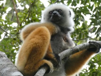 PANA3709 (Custom).JPG PANA3709 (Custom).JPG