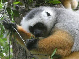 PANA3731 (Custom).JPG PANA3731 (Custom).JPG