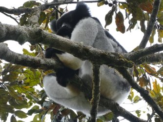 PANA3759 (Custom).JPG PANA3759 (Custom).JPG