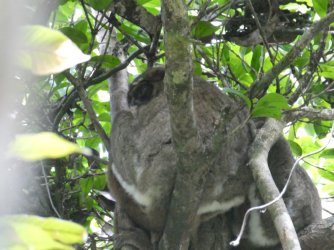 PANA3764 (Custom).JPG PANA3764 (Custom).JPG