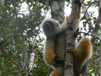 PANA3737 (Custom).JPG PANA3737 (Custom).JPG