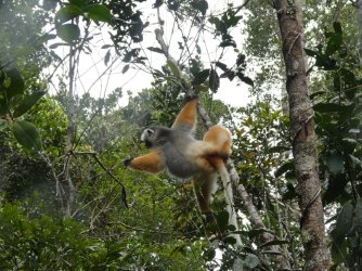 PANA3739 (Custom).JPG PANA3739 (Custom).JPG