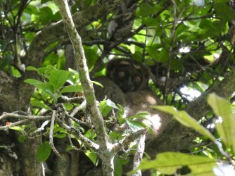 PANA3773 (Custom).JPG PANA3773 (Custom).JPG