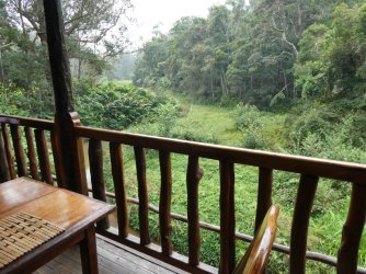 PANA3784 (Custom).JPG PANA3784 (Custom).JPG