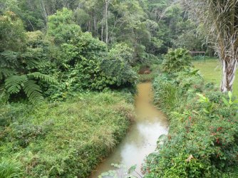 PANA3786 (Custom).JPG PANA3786 (Custom).JPG