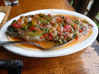 PANA3789 (Custom).JPG PANA3789 (Custom).JPG