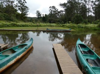 PANA3793 (Custom).JPG PANA3793 (Custom).JPG