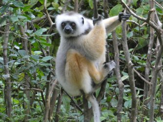 PANA3797 (Custom).JPG PANA3797 (Custom).JPG