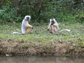 PANA3805 (Custom).JPG PANA3805 (Custom).JPG