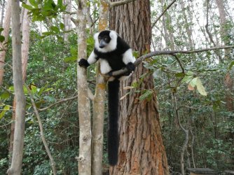 PANA3807 (Custom).JPG PANA3807 (Custom).JPG