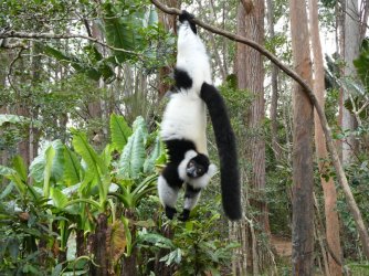 PANA3861 (Custom).JPG PANA3861 (Custom).JPG