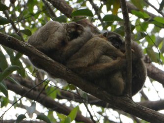 PANA3818 (Custom).JPG PANA3818 (Custom).JPG