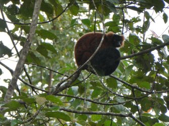 PANA3821 (Custom).JPG PANA3821 (Custom).JPG