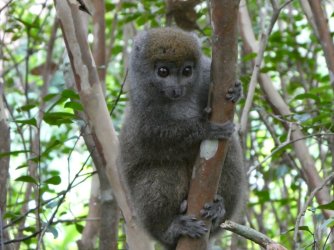 PANA3825 (Custom).JPG PANA3825 (Custom).JPG