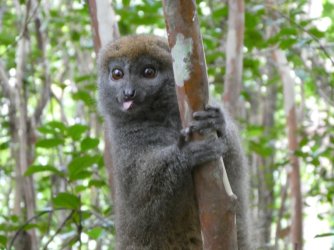 PANA3828 (Custom).JPG PANA3828 (Custom).JPG