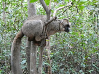 PANA3838 (Custom).JPG PANA3838 (Custom).JPG