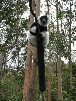 PANA3855 (Custom).JPG PANA3855 (Custom).JPG