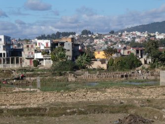 PANA3986 (Custom).JPG PANA3986 (Custom).JPG