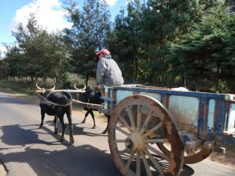 PANA4007 (Custom).JPG PANA4007 (Custom).JPG