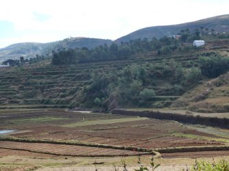 PANA4015 (Custom).JPG PANA4015 (Custom).JPG