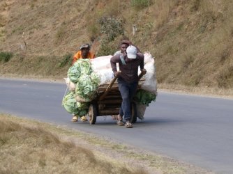 PANA4029 (Custom).JPG PANA4029 (Custom).JPG