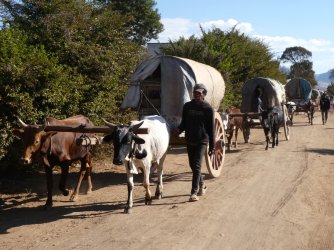 PANA4053 (Custom).JPG PANA4053 (Custom).JPG