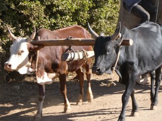 PANA4054 (Custom).JPG PANA4054 (Custom).JPG