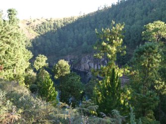 PANA4077 (Custom).JPG PANA4077 (Custom).JPG